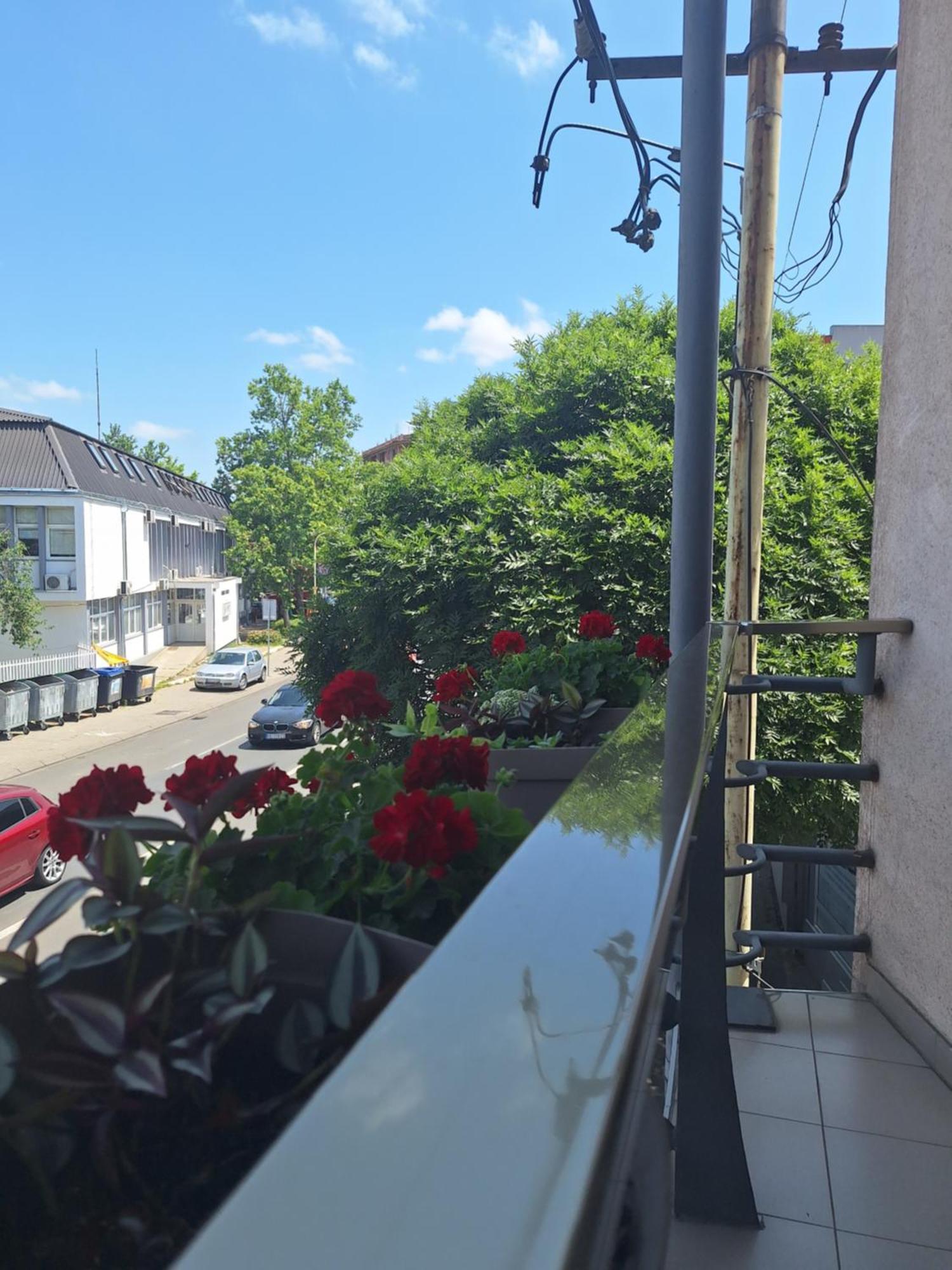 Garni Hotel Ema Kragujevac Eksteriør bilde